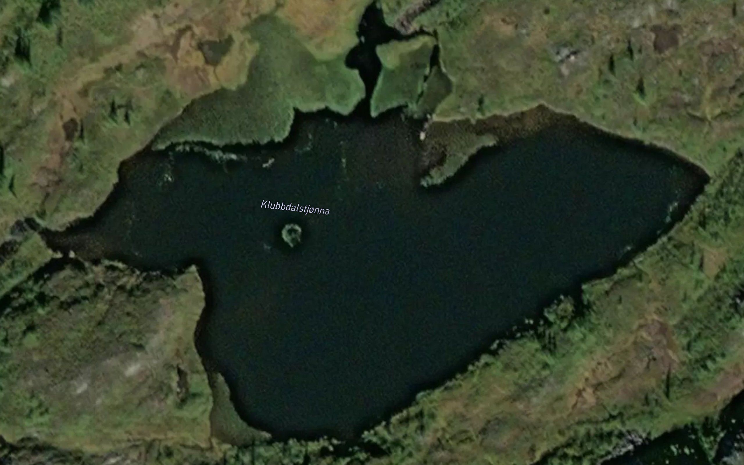 Klubbdaltjorna