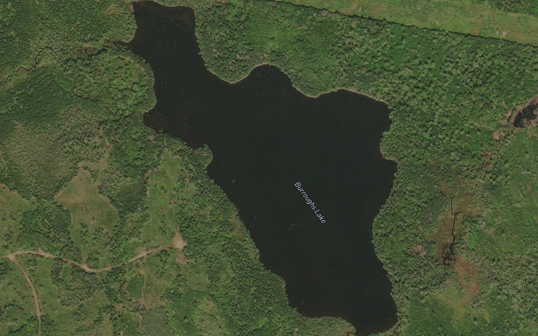 Satellite map of the Burroughs Lake