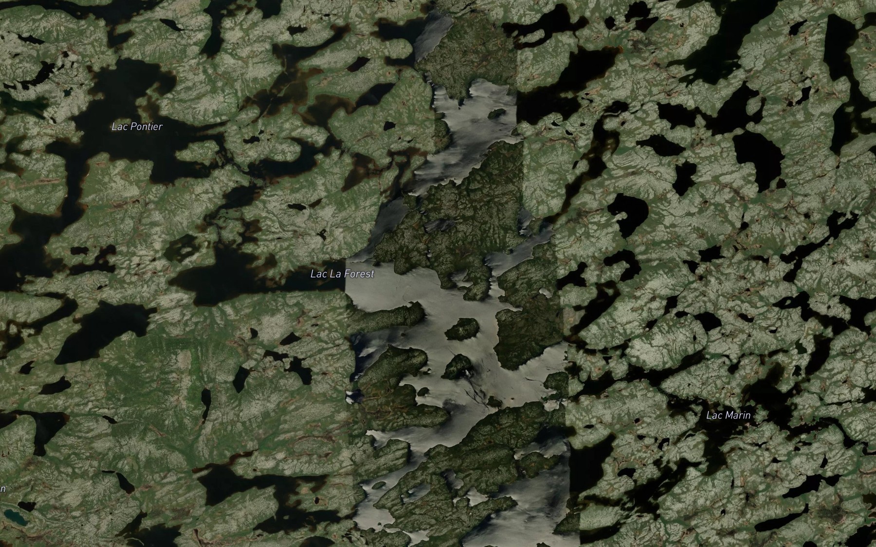 Satellite map of the Lac La Forest