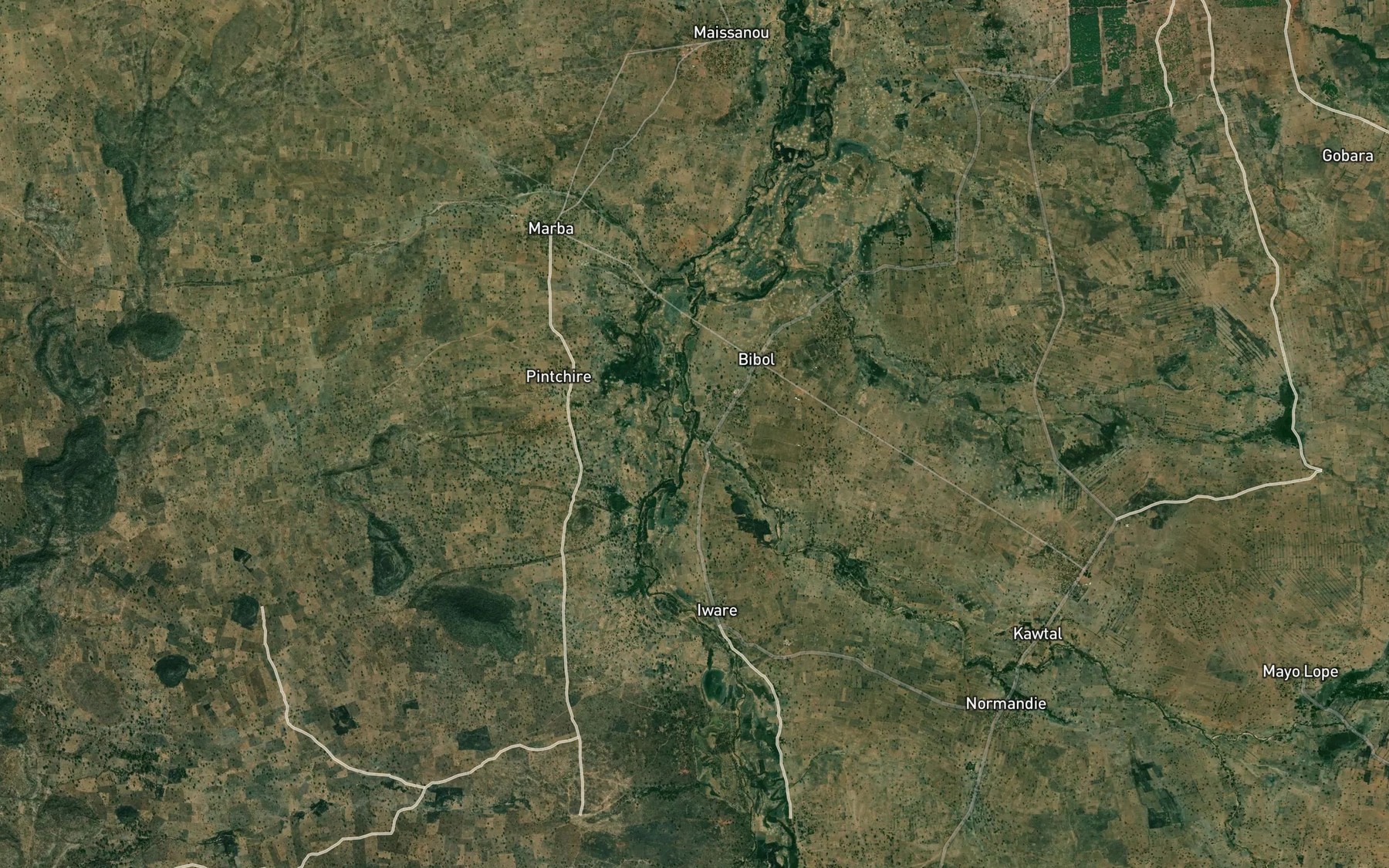 Satellite map of the Mayo Tchoukonga