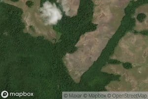 Morichal Las Tasajeras