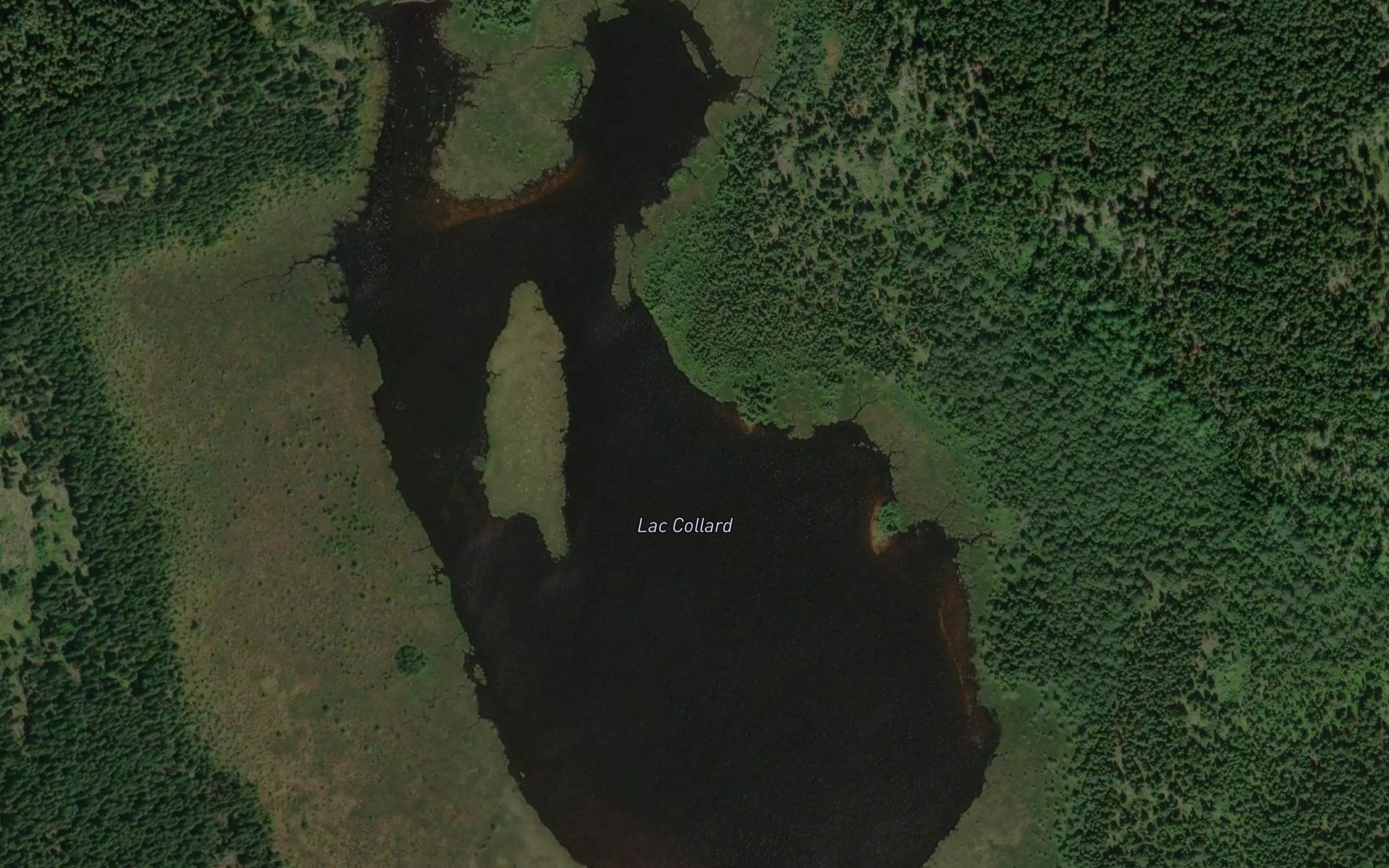 Lac Collard