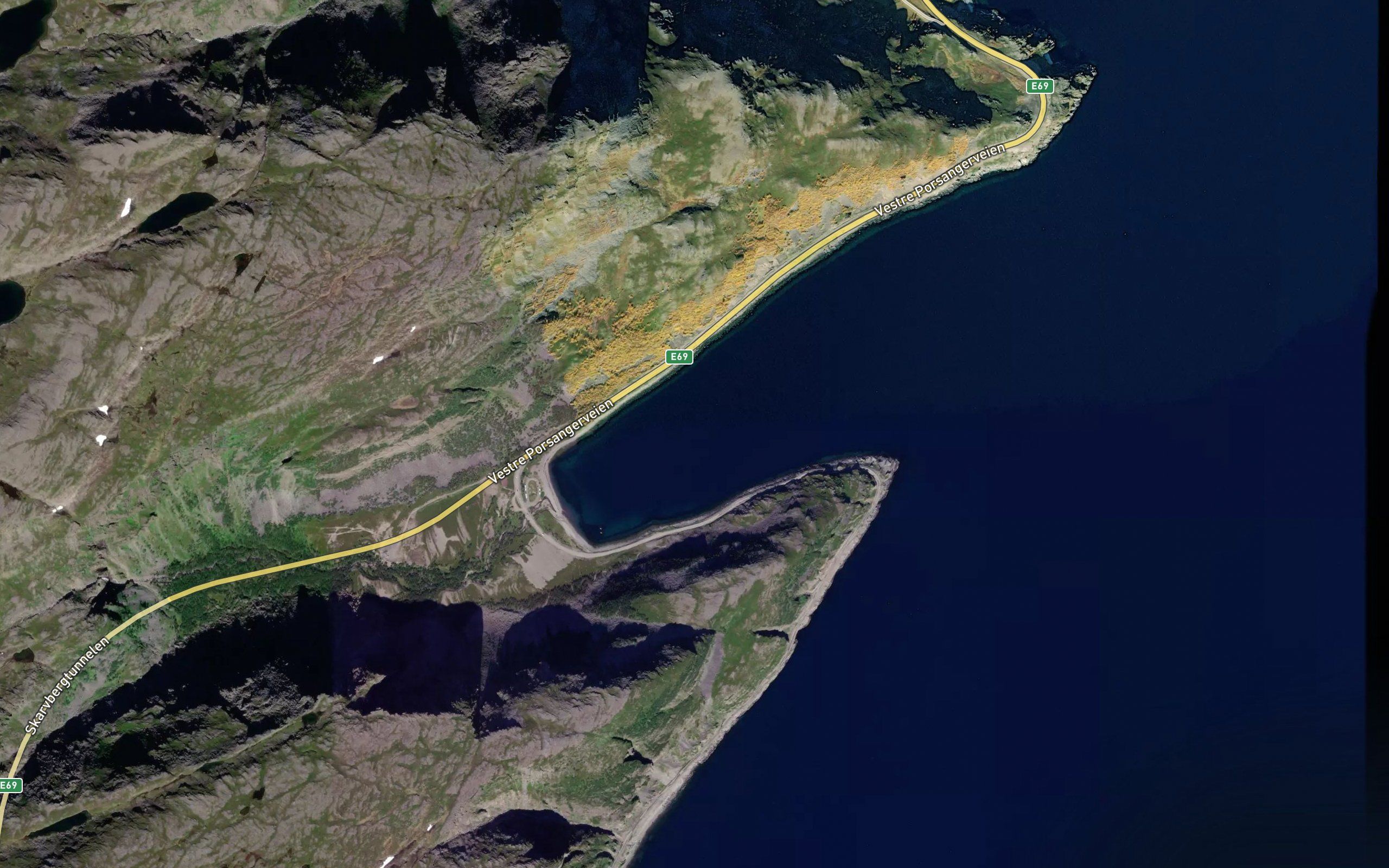 Skarvbergvika
