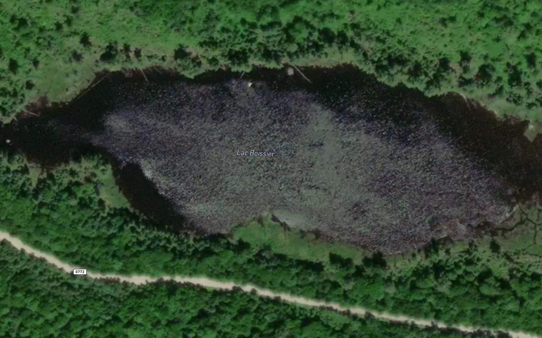 Satellite map of the Lac Boissier