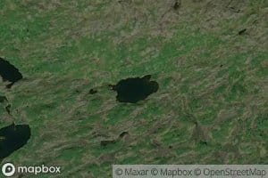 Auster-Stjernetjonna