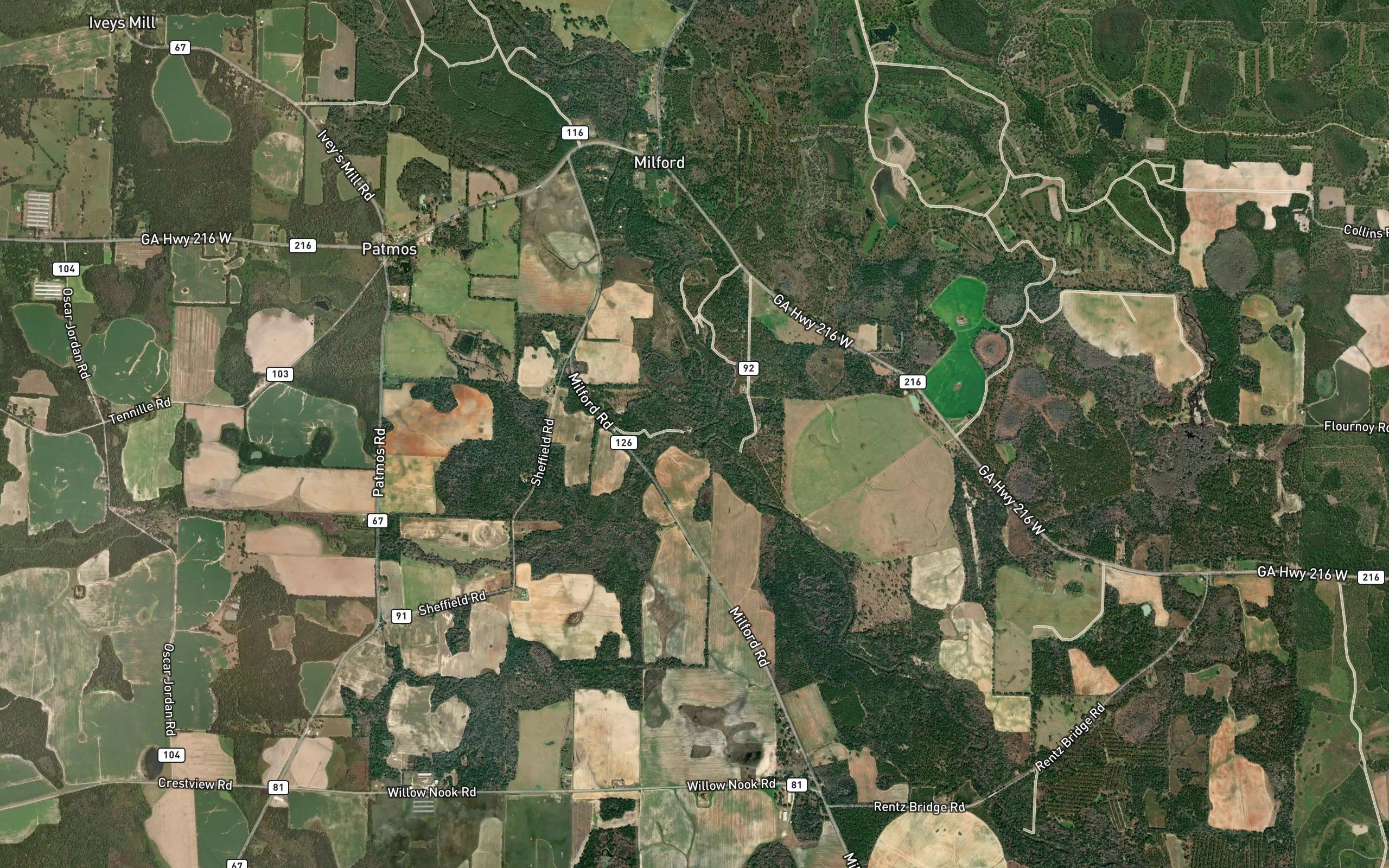 Alligator Creek