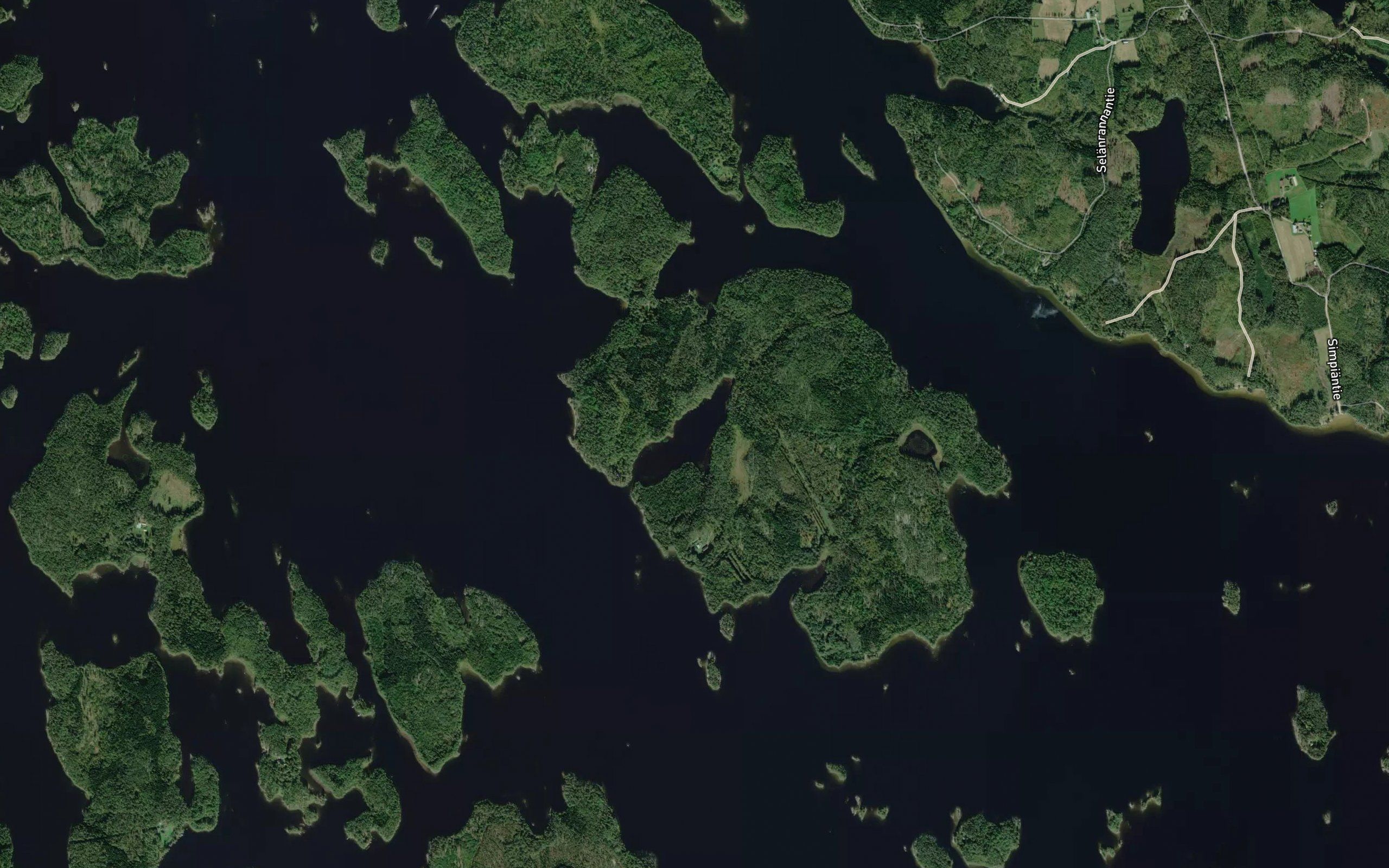 Pitkalahti