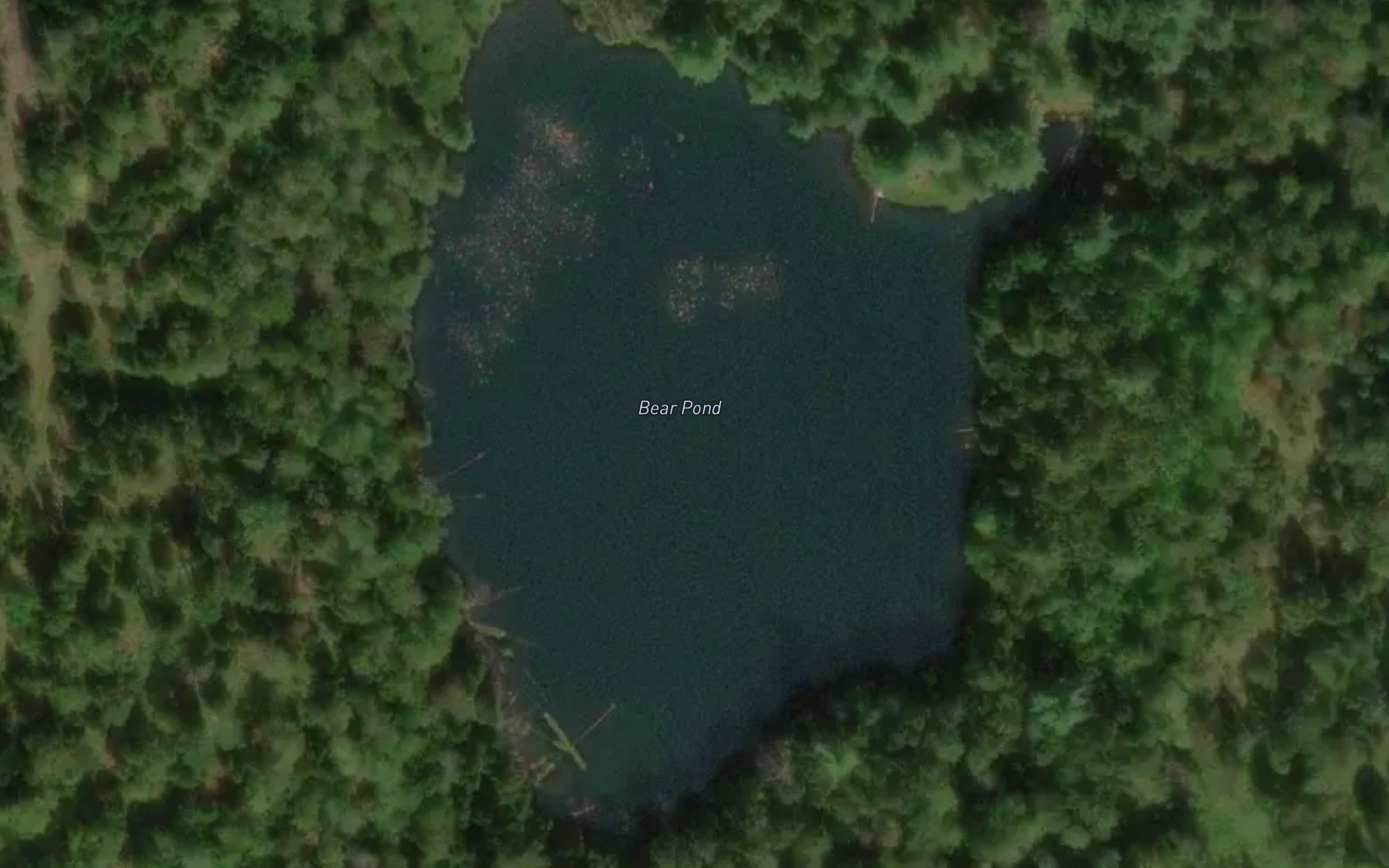 Bear Pond