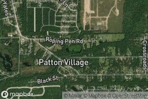 Patton Lake