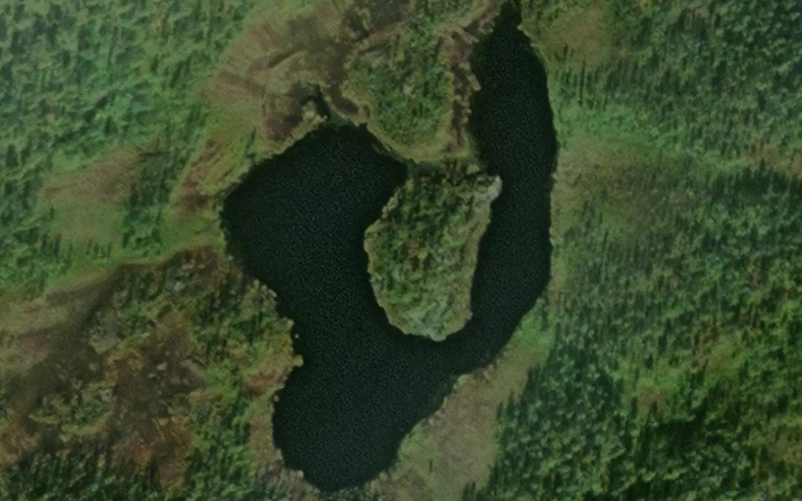 Hesteskovatnet