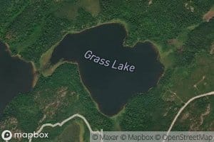 Grass Lake
