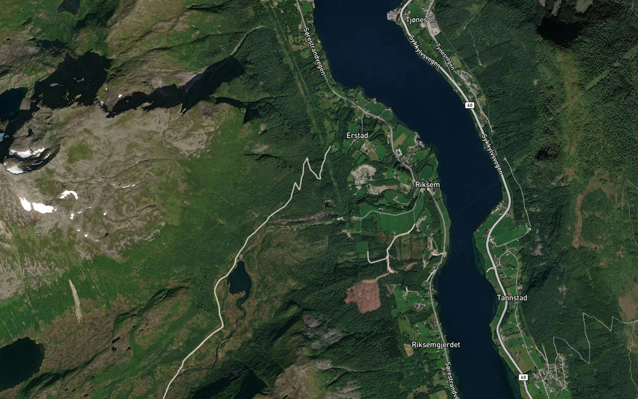 Skasvodelva