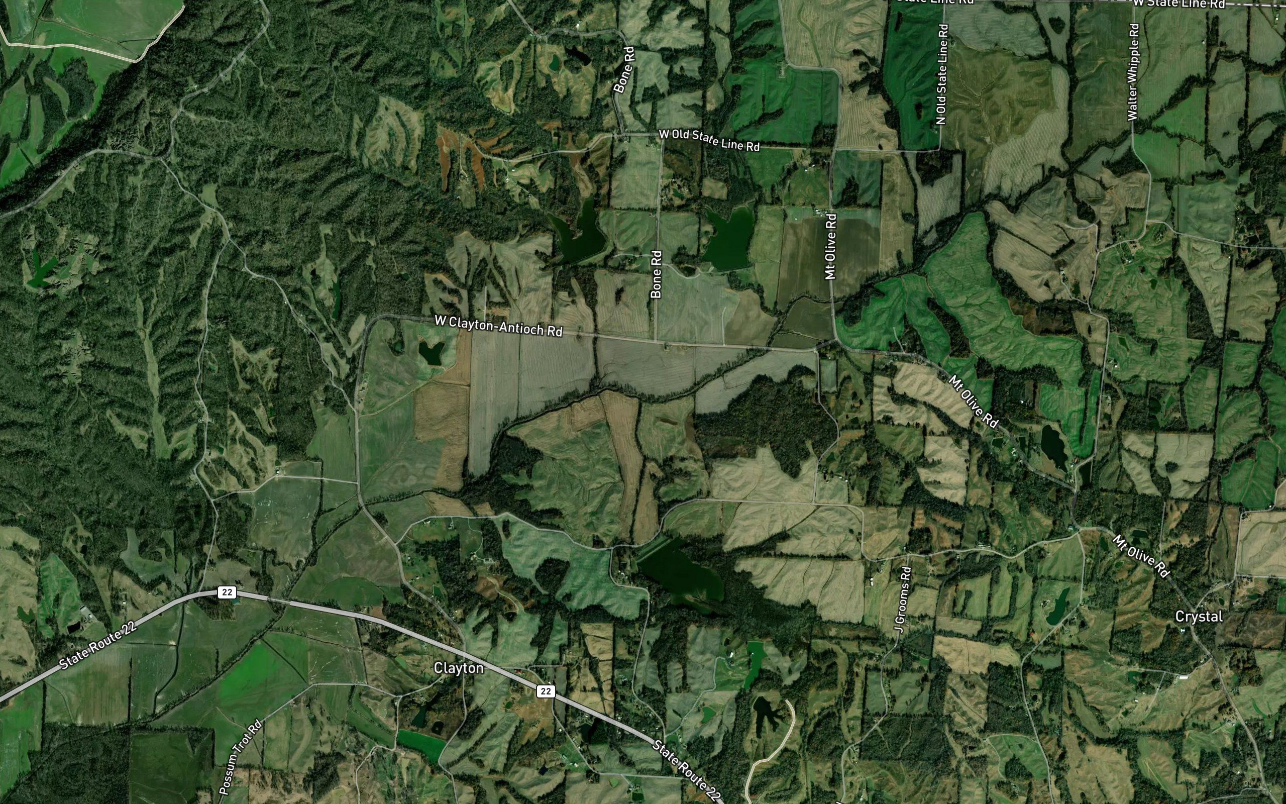 Taylor Creek