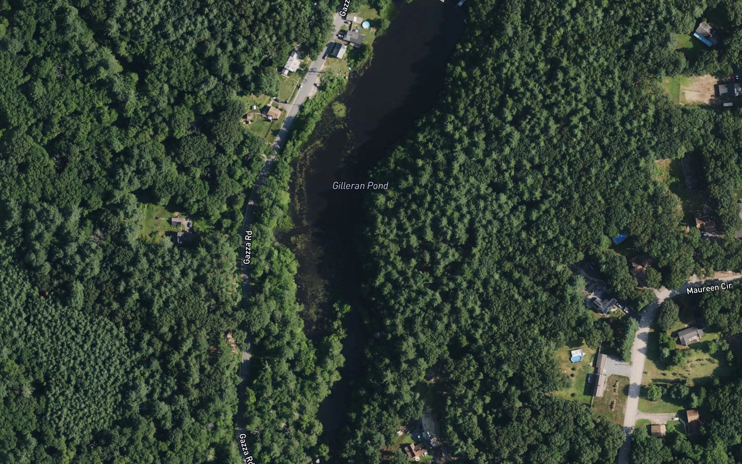 Gilleran Pond