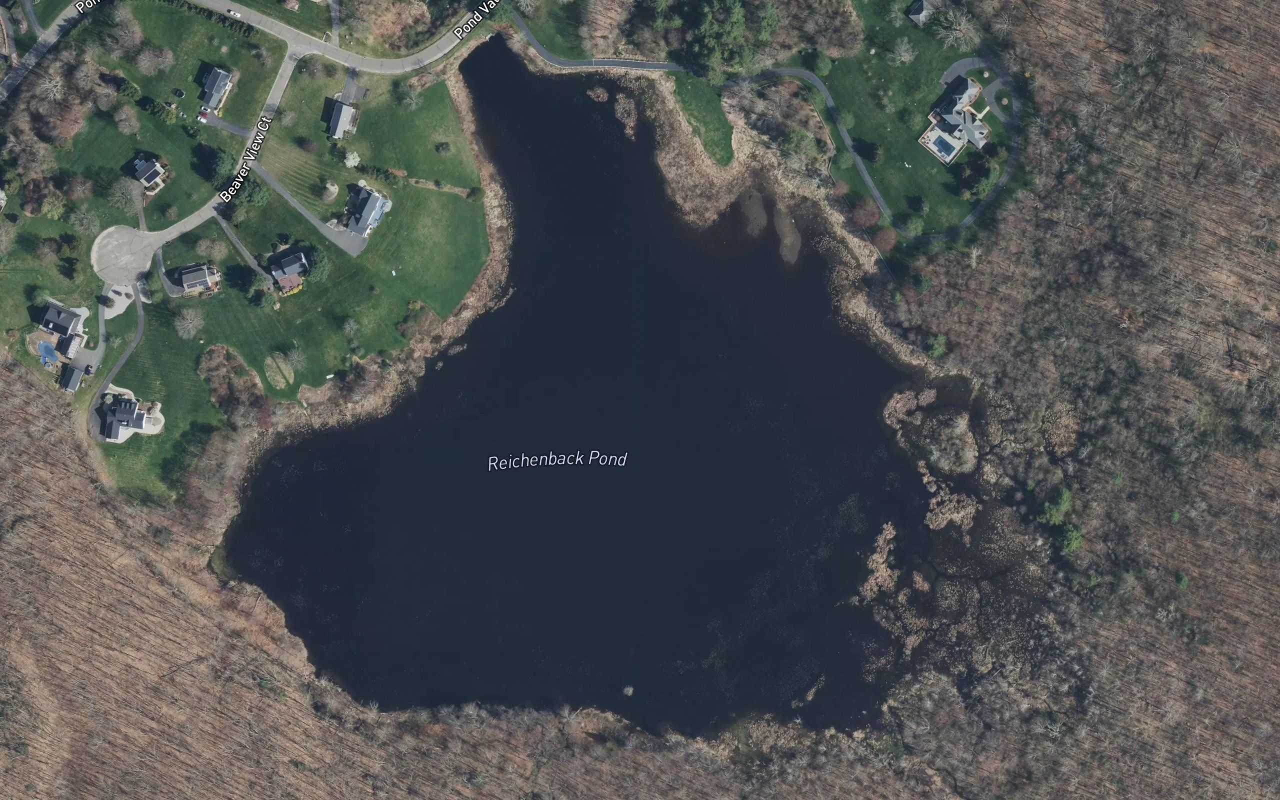 Reichenback Pond