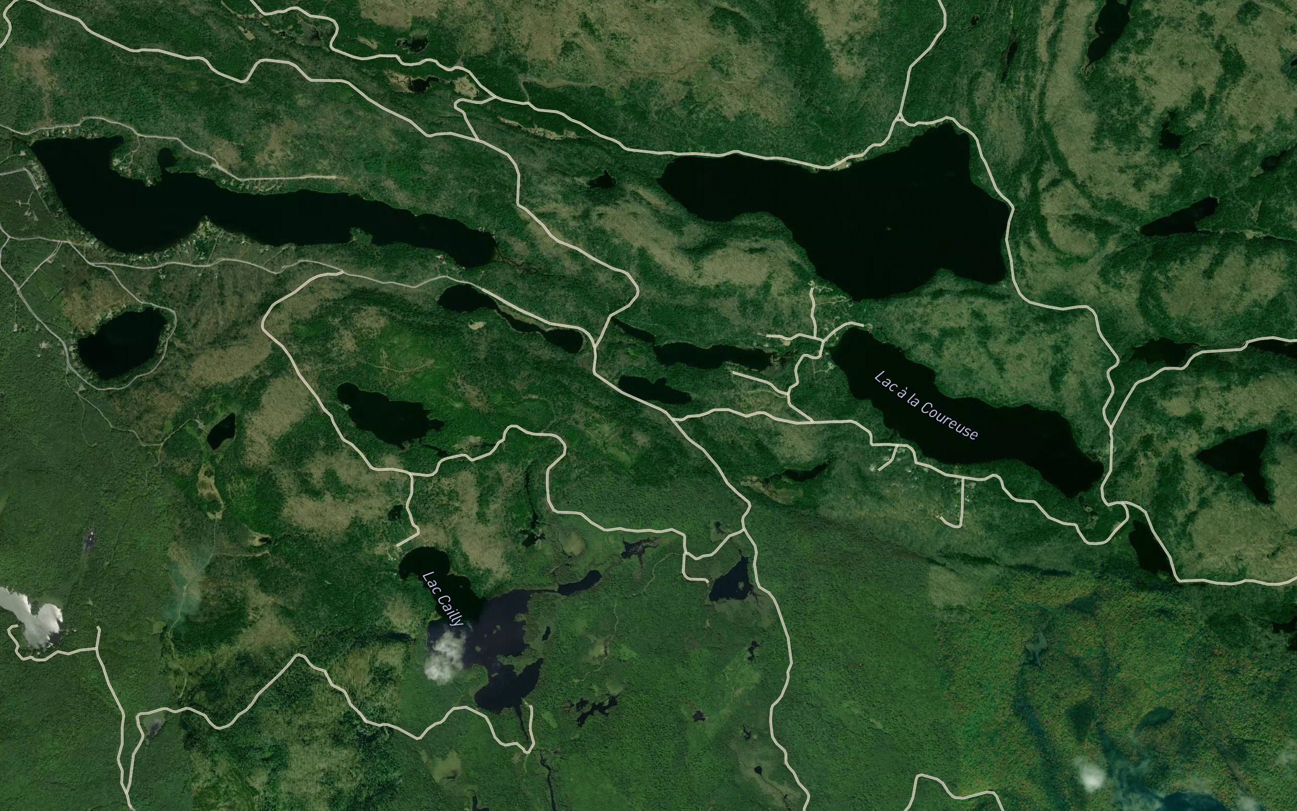 Lac Rosette