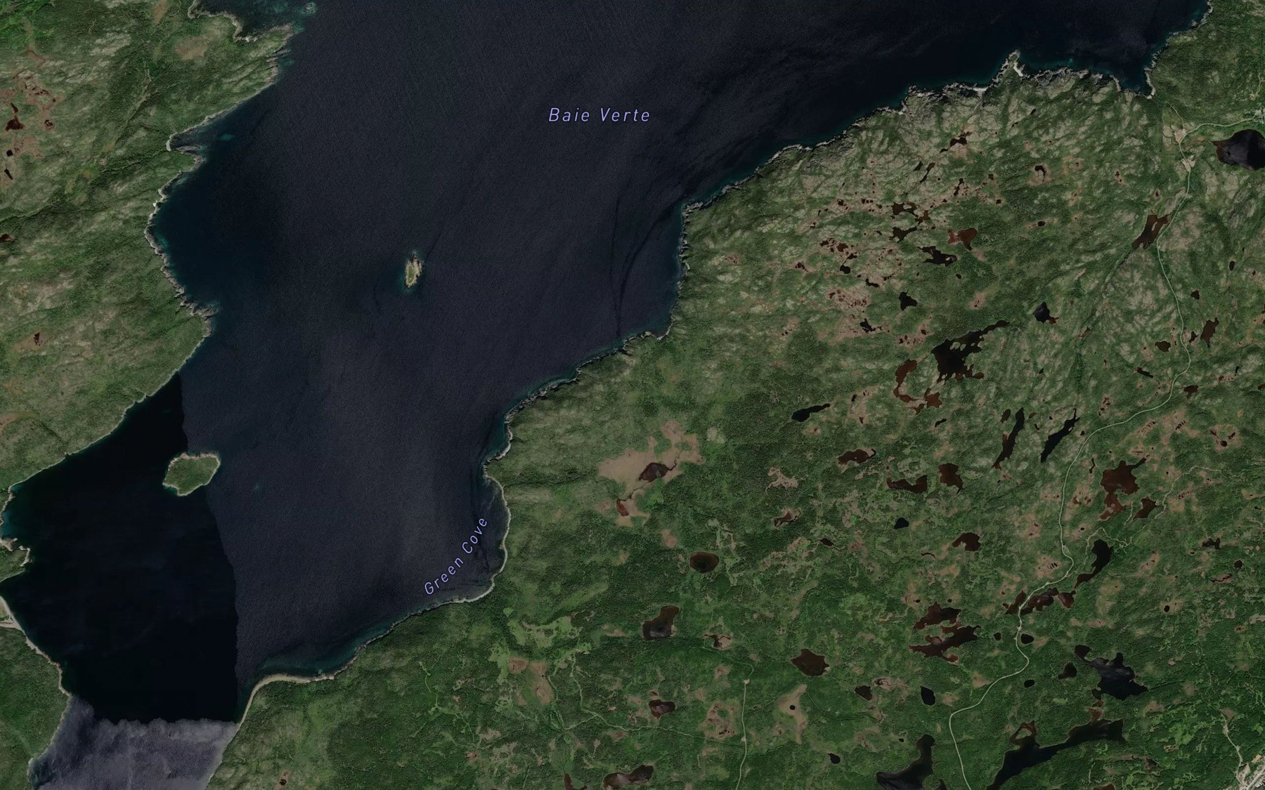 Satellite map of the Lower Green Cove