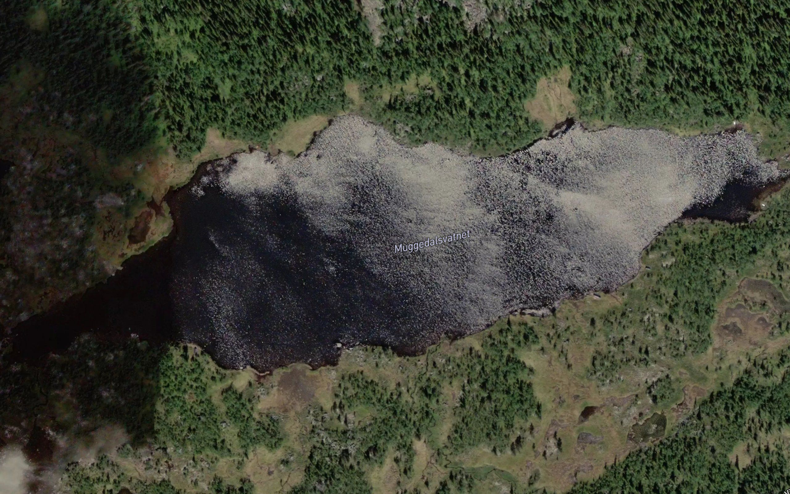 Muggedalsvatnet