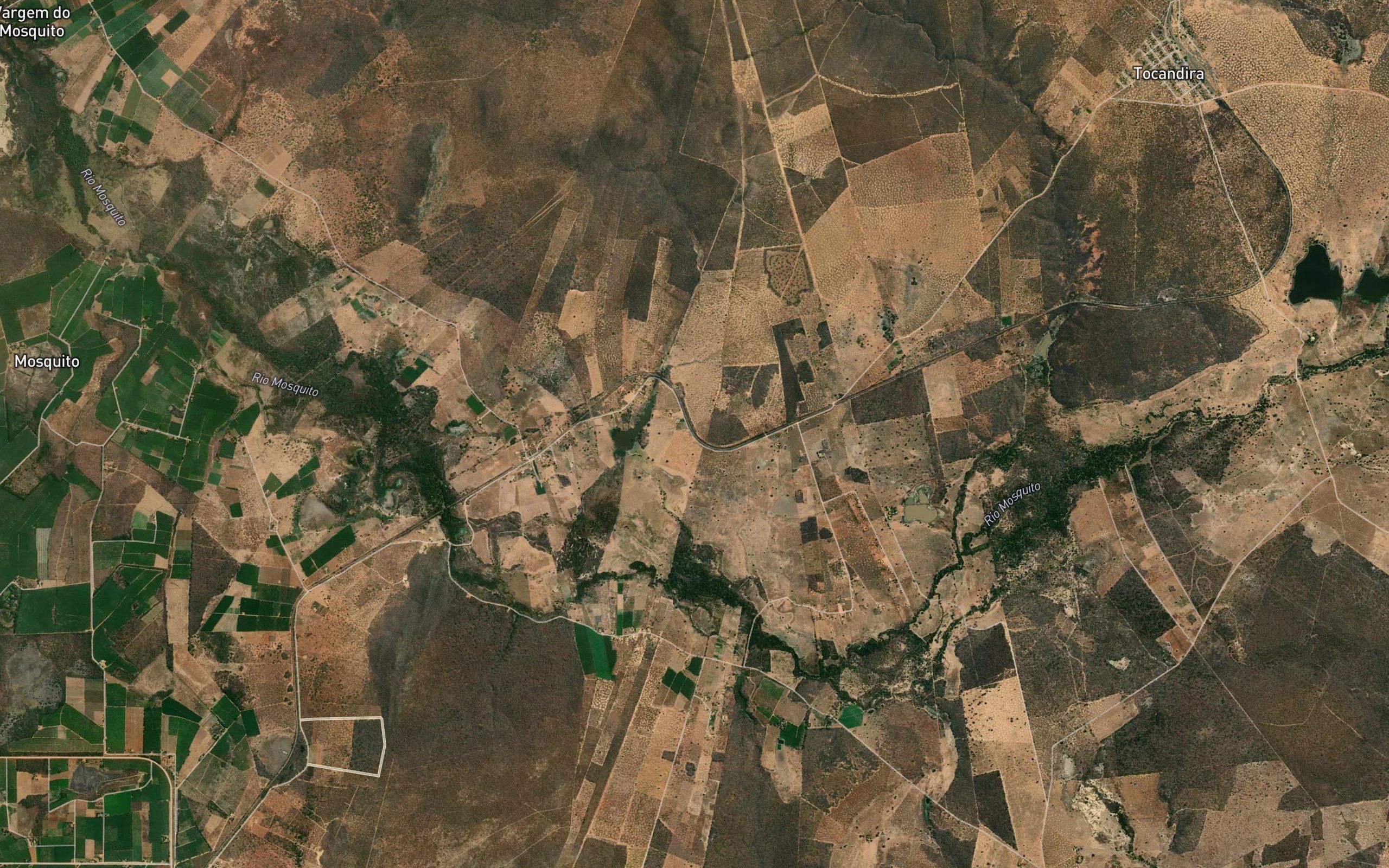 Lagoa Tamandua