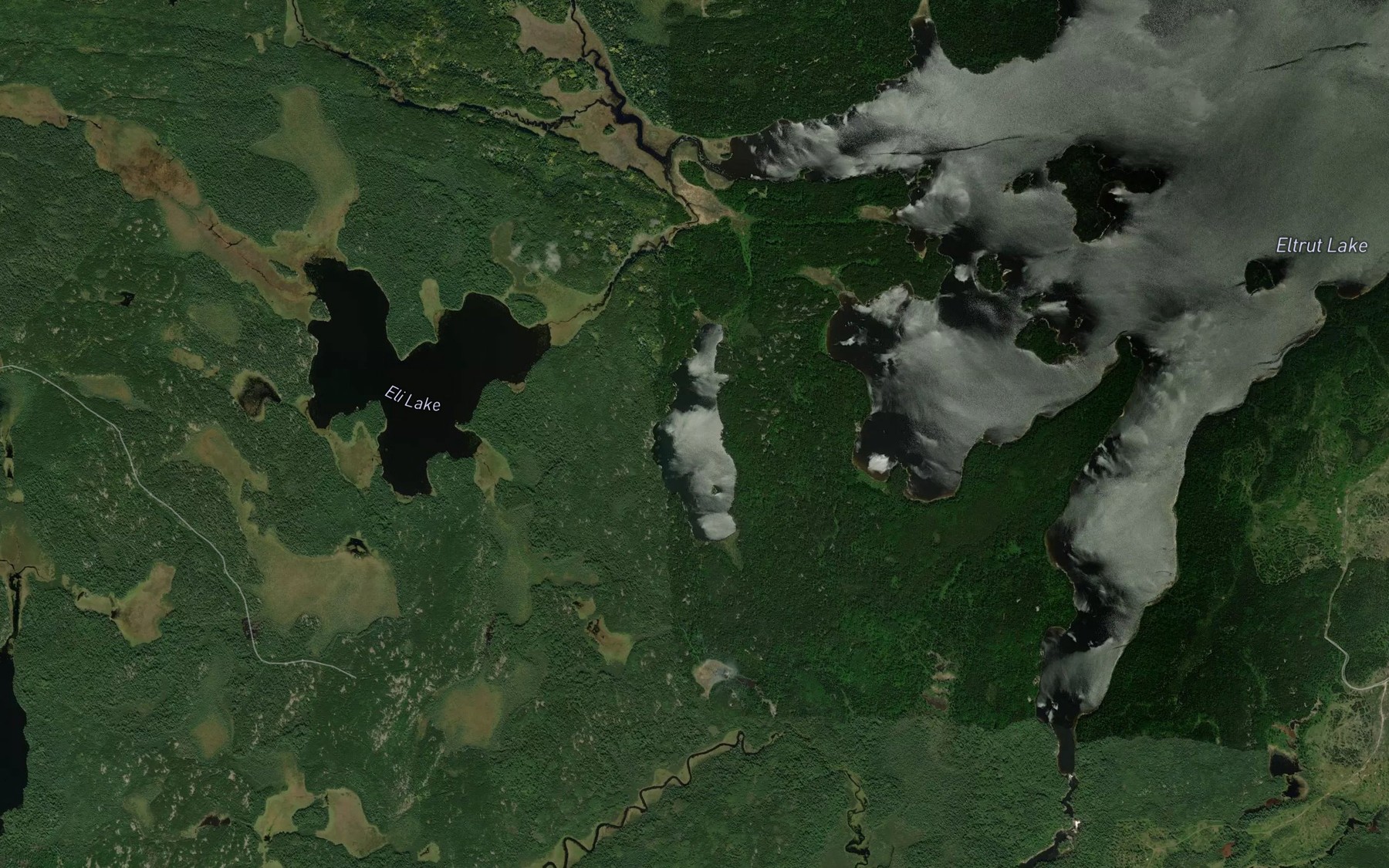 Satellite map of the Gagon Lake