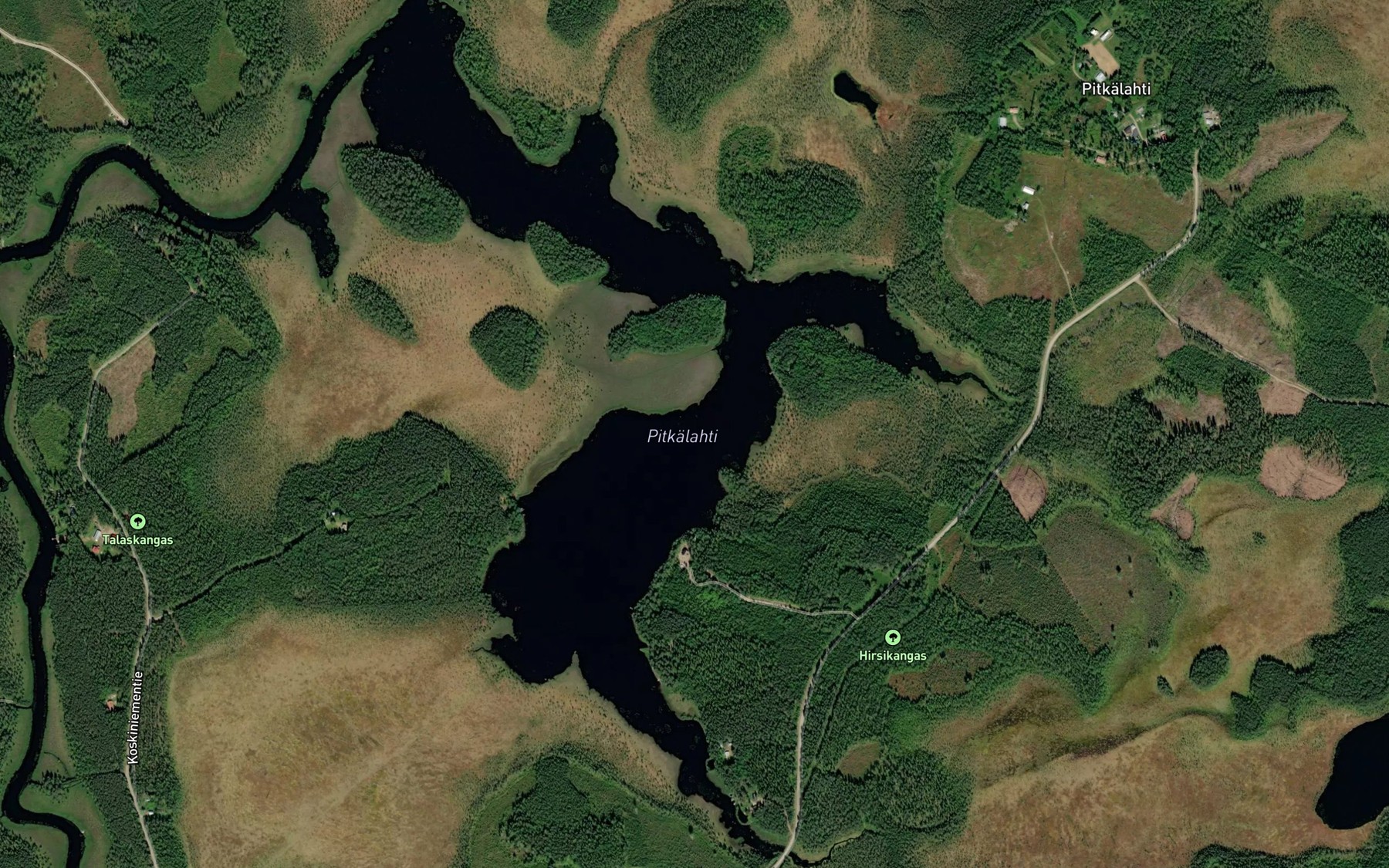 Satellite map of the Pitkalahti