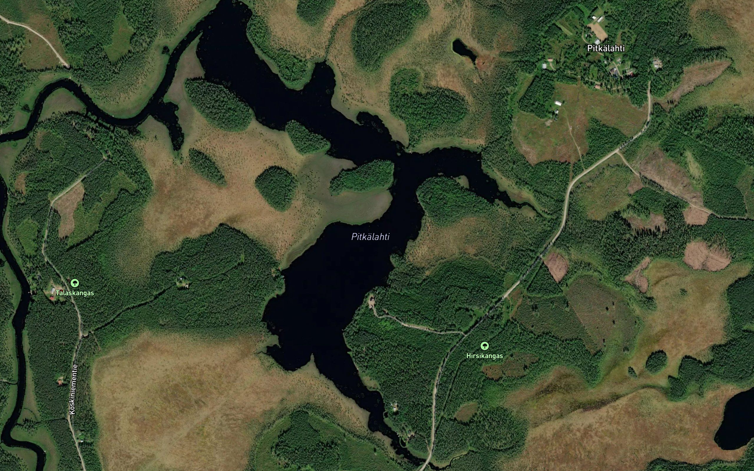 Pitkalahti
