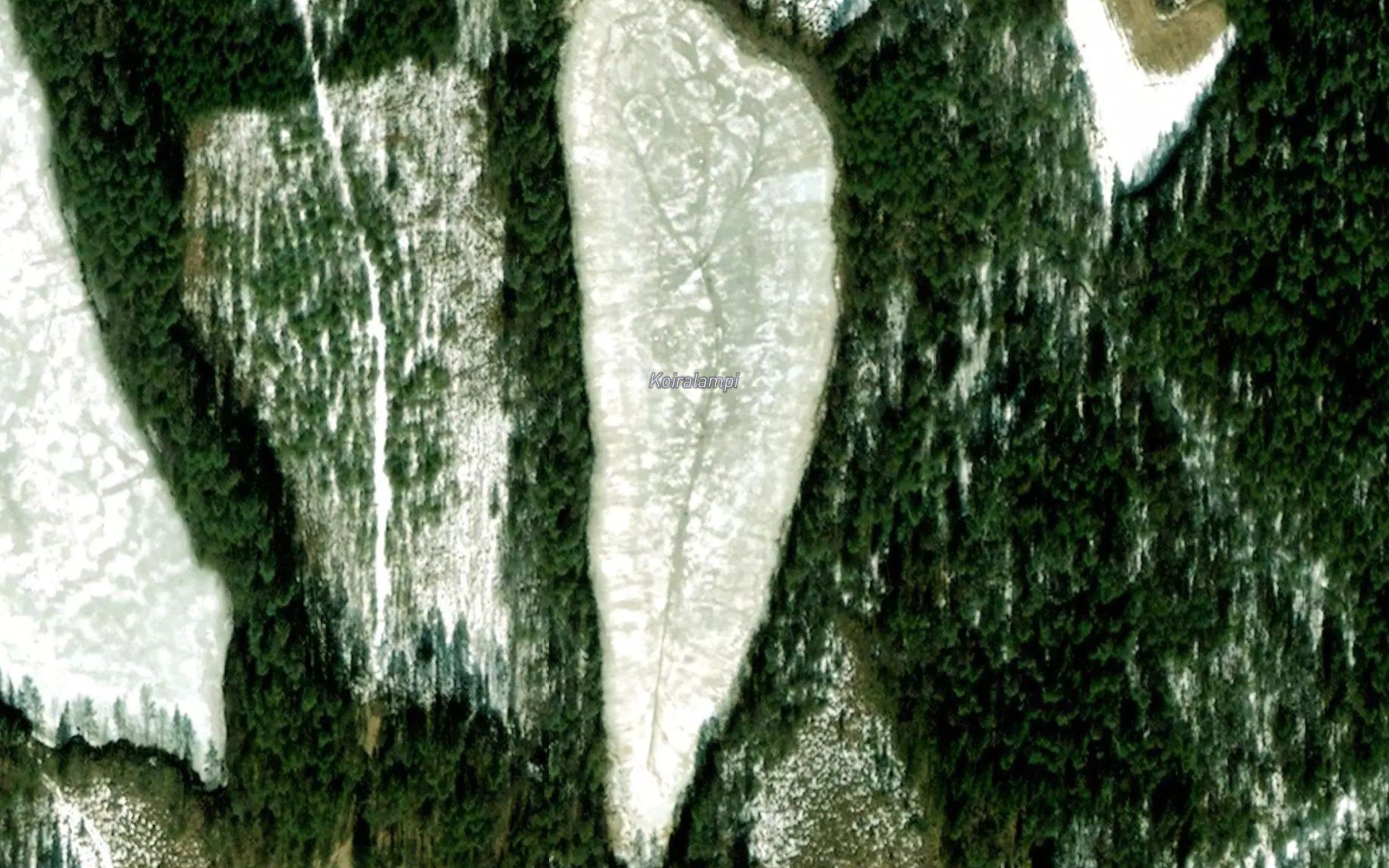 Koiralampi
