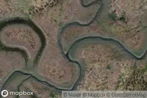 Bolotnaya