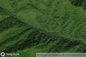 Indian Spring Branch