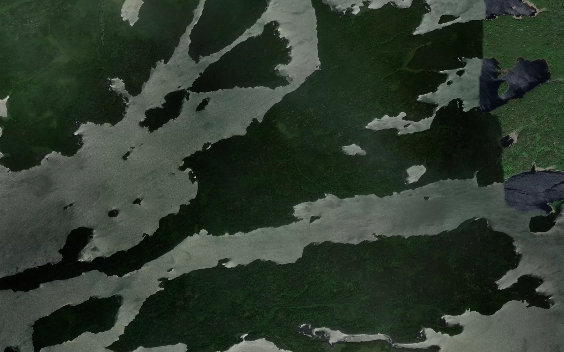 Satellite map of the Cat River