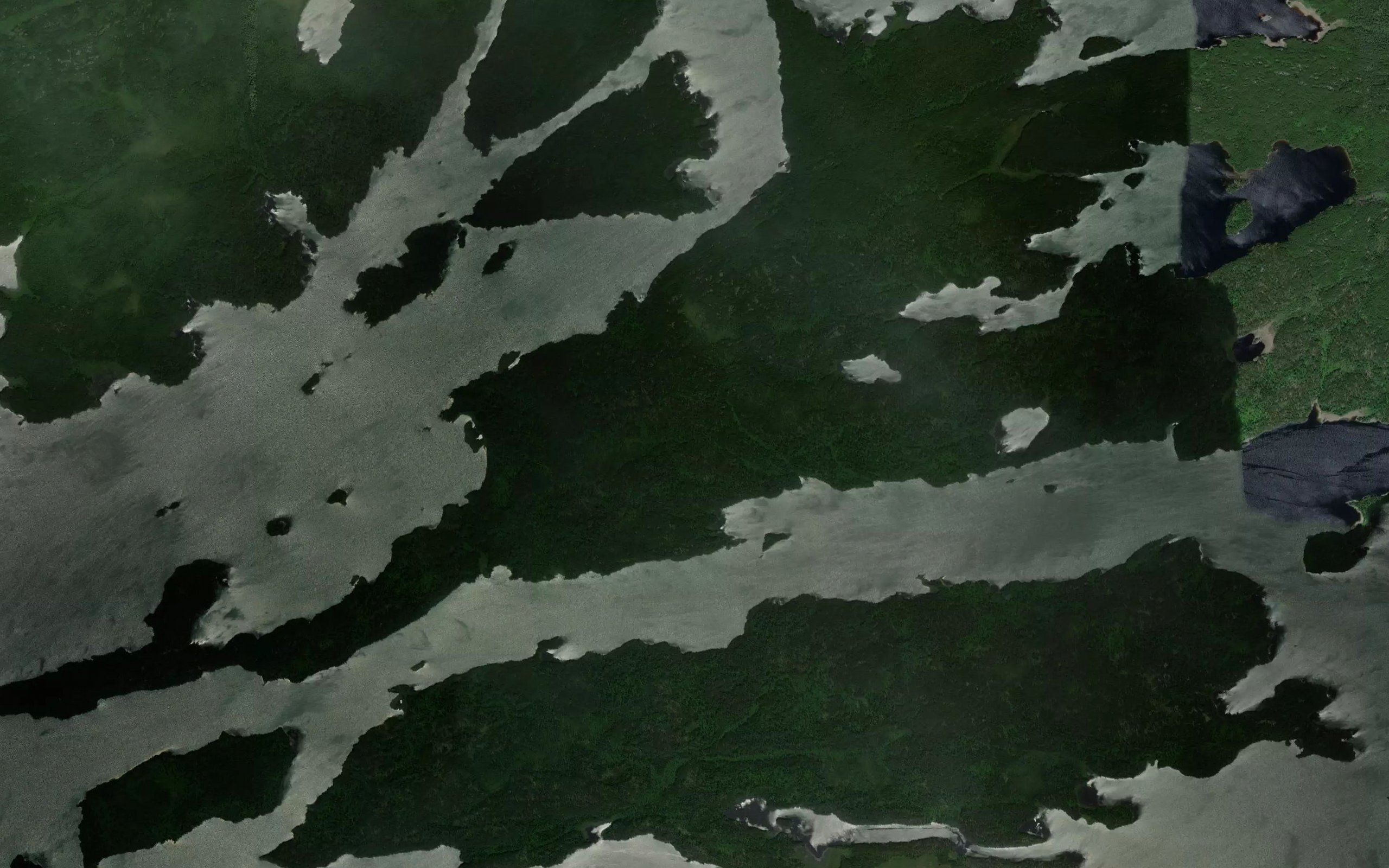 Cat River
