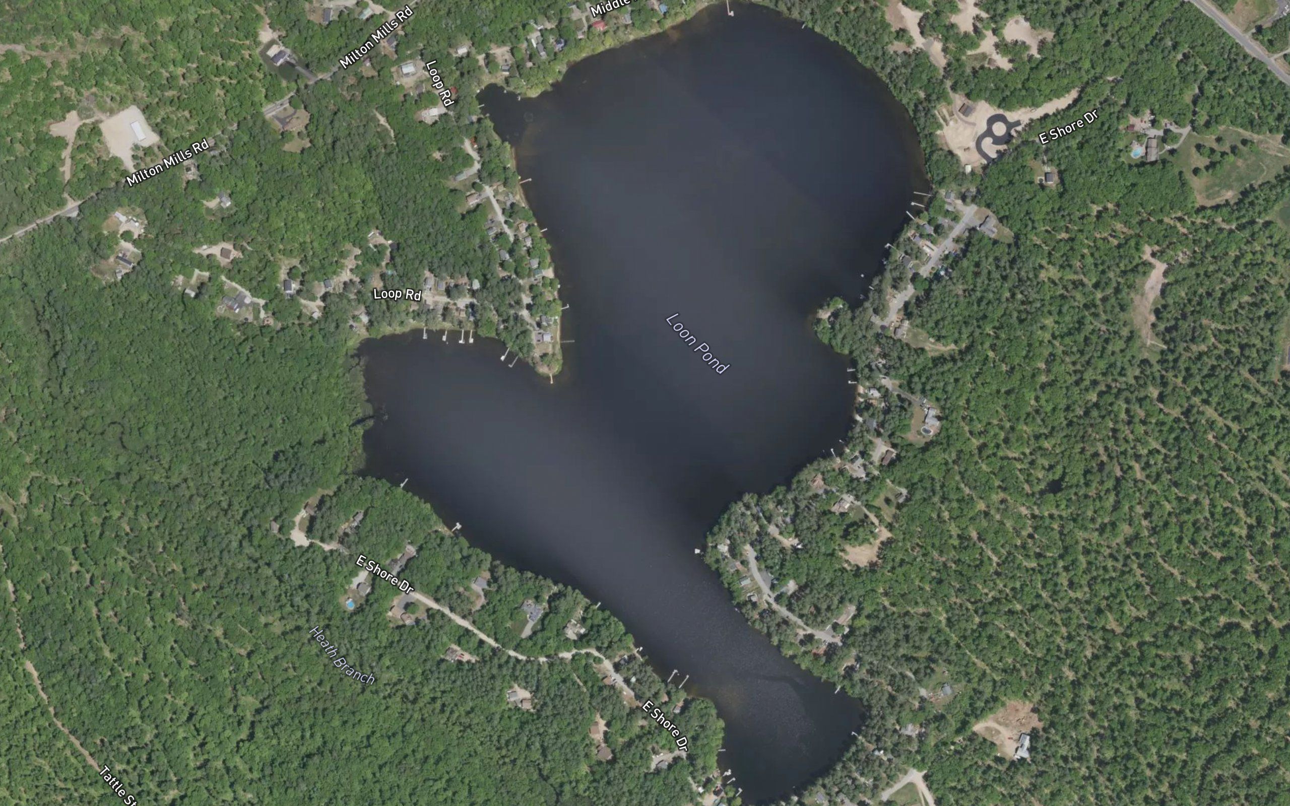 Loon Pond