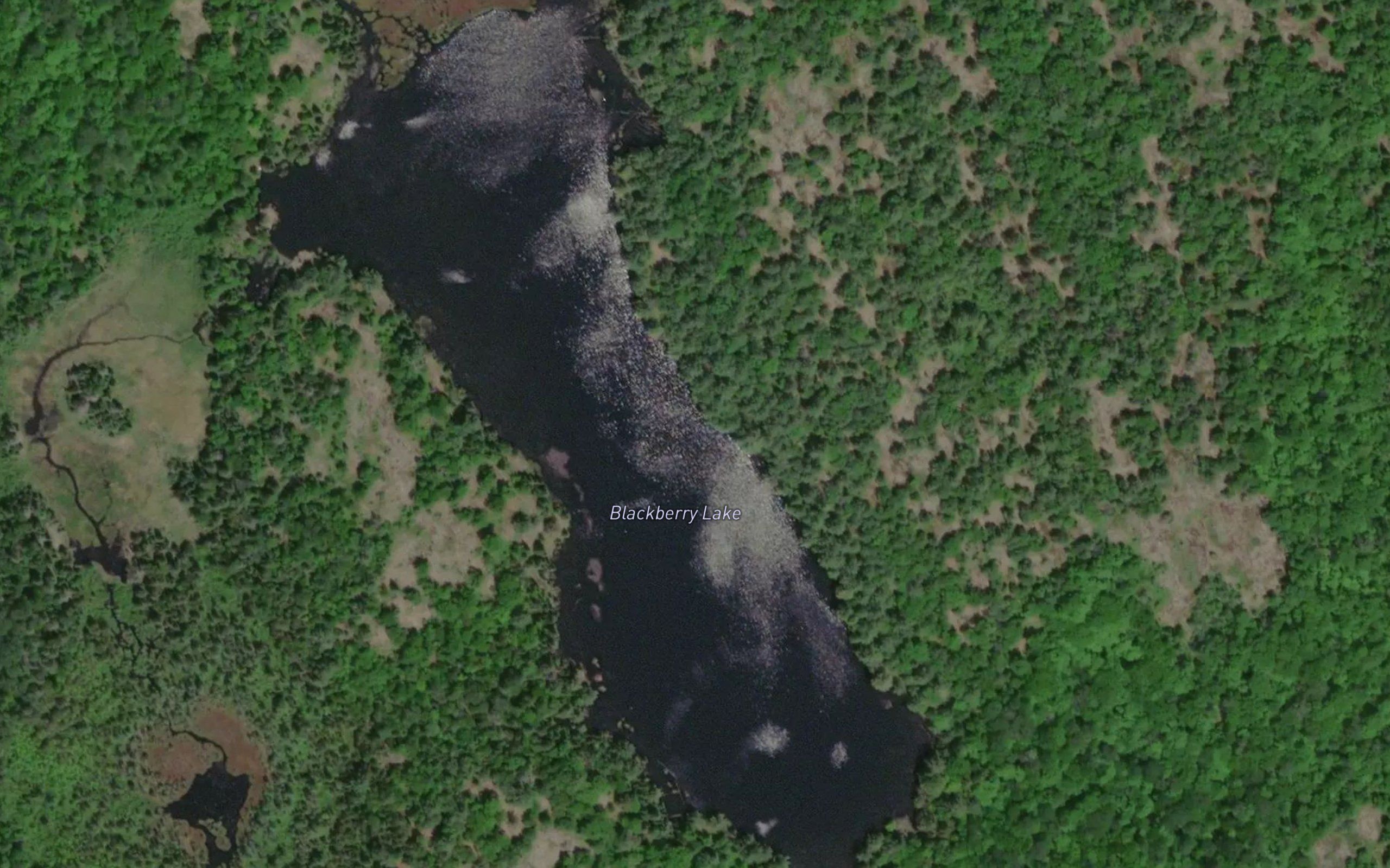 Blackberry Lake