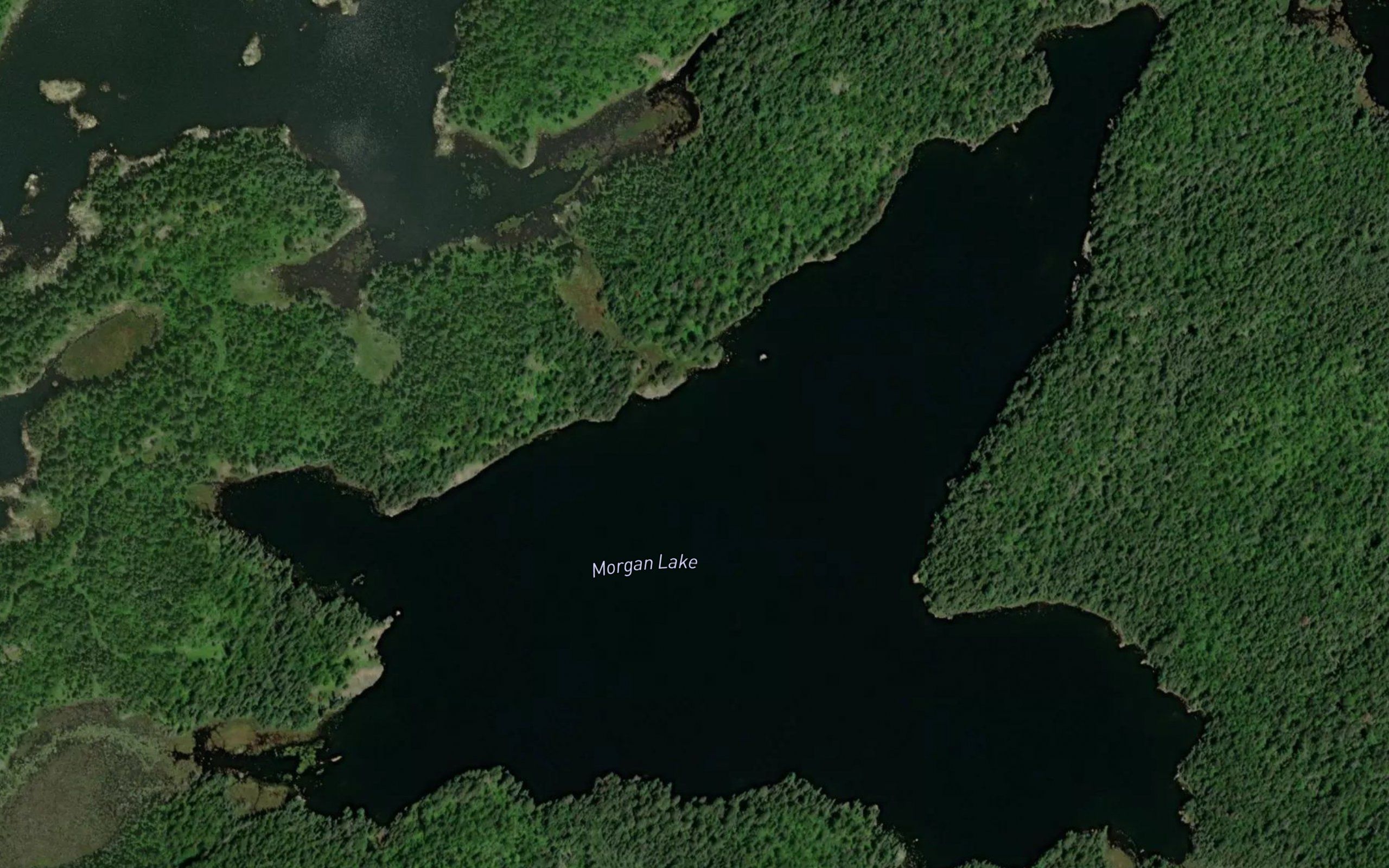 Morgan Lake