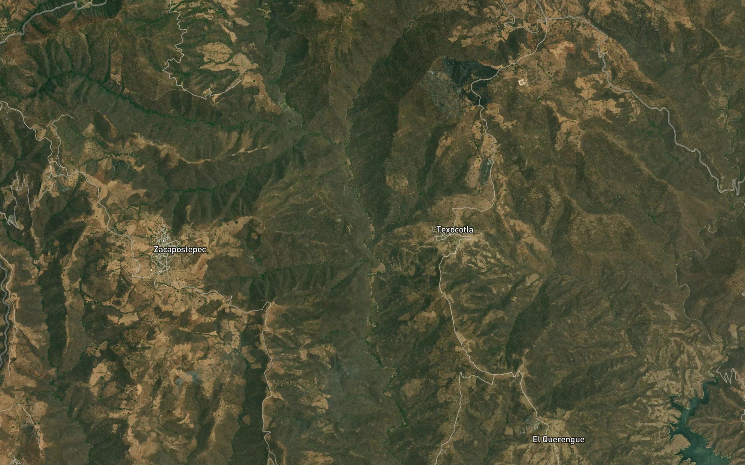 El Carrizal