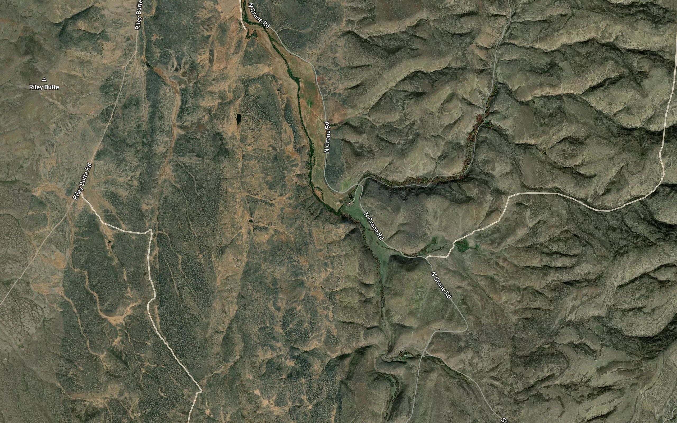 Spring Creek