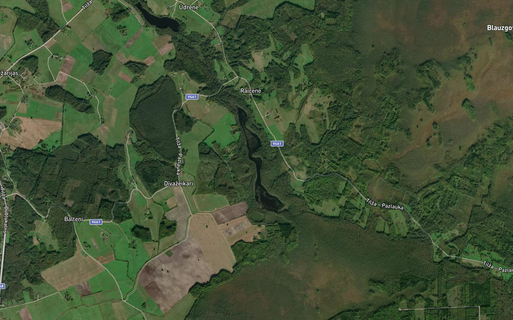 Satellite map of the Raicinis