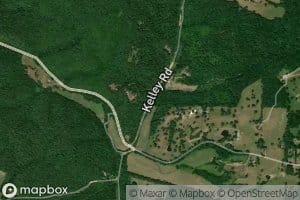 Arnold Branch
