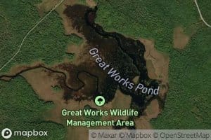 Great Works Pond