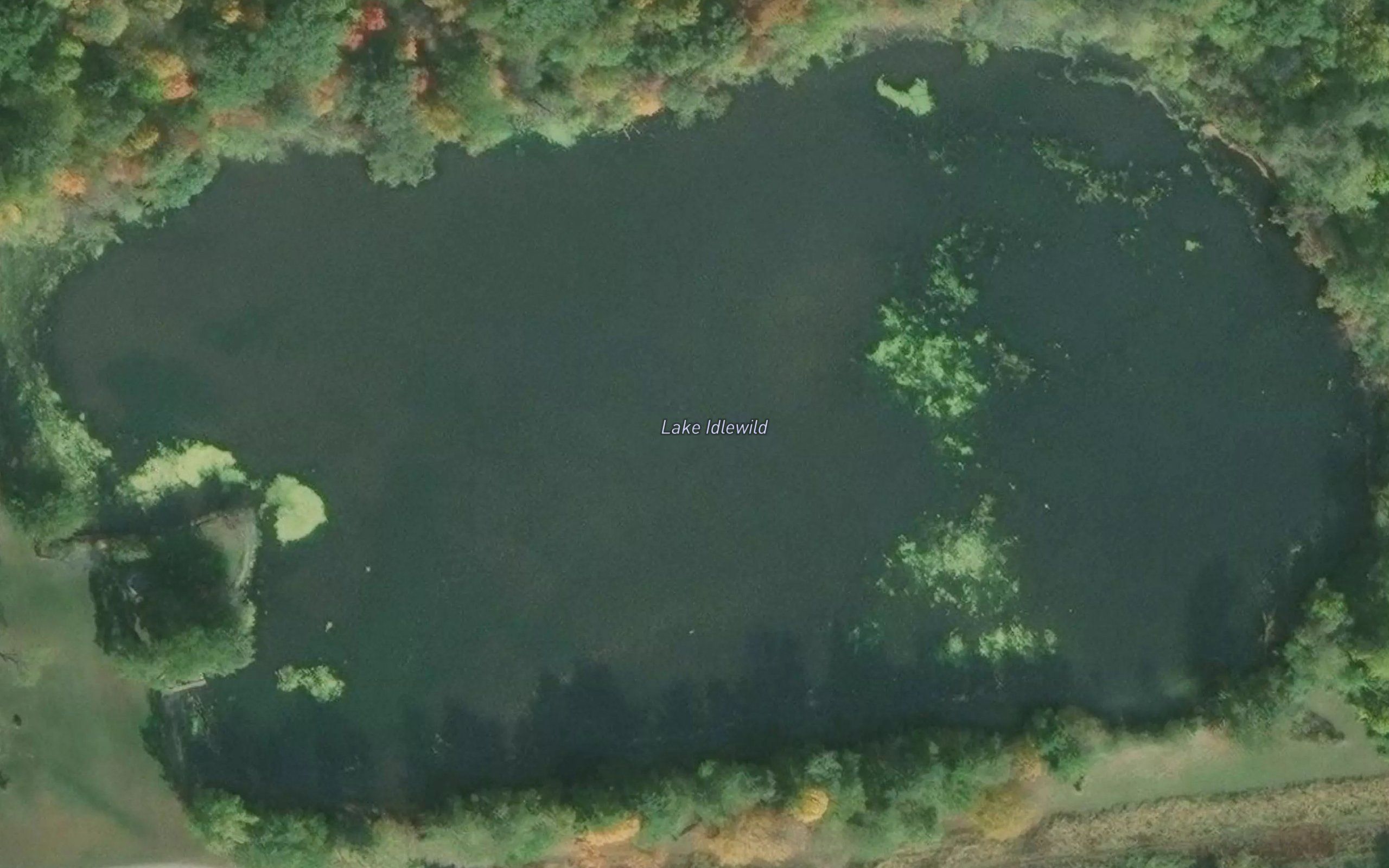 Lake Idlewild