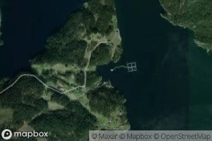 Vintravika