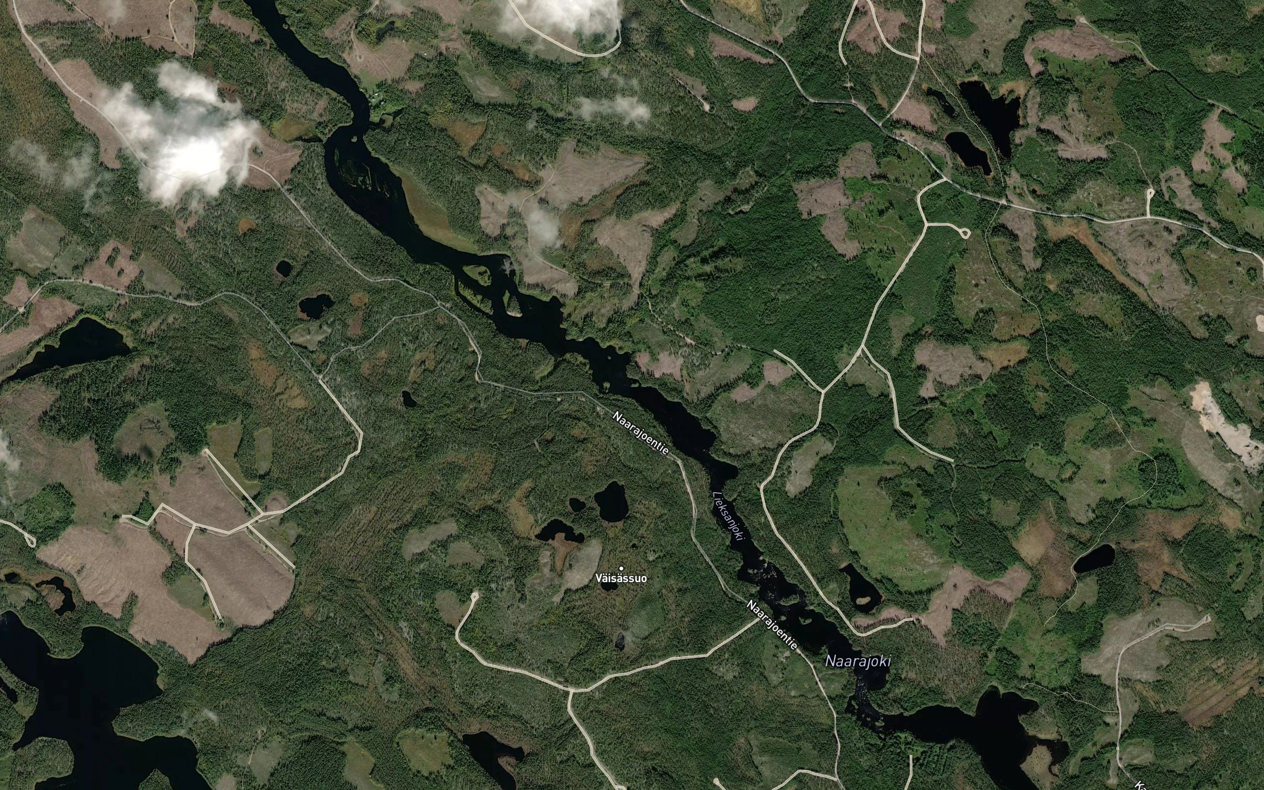Vaisasvirta