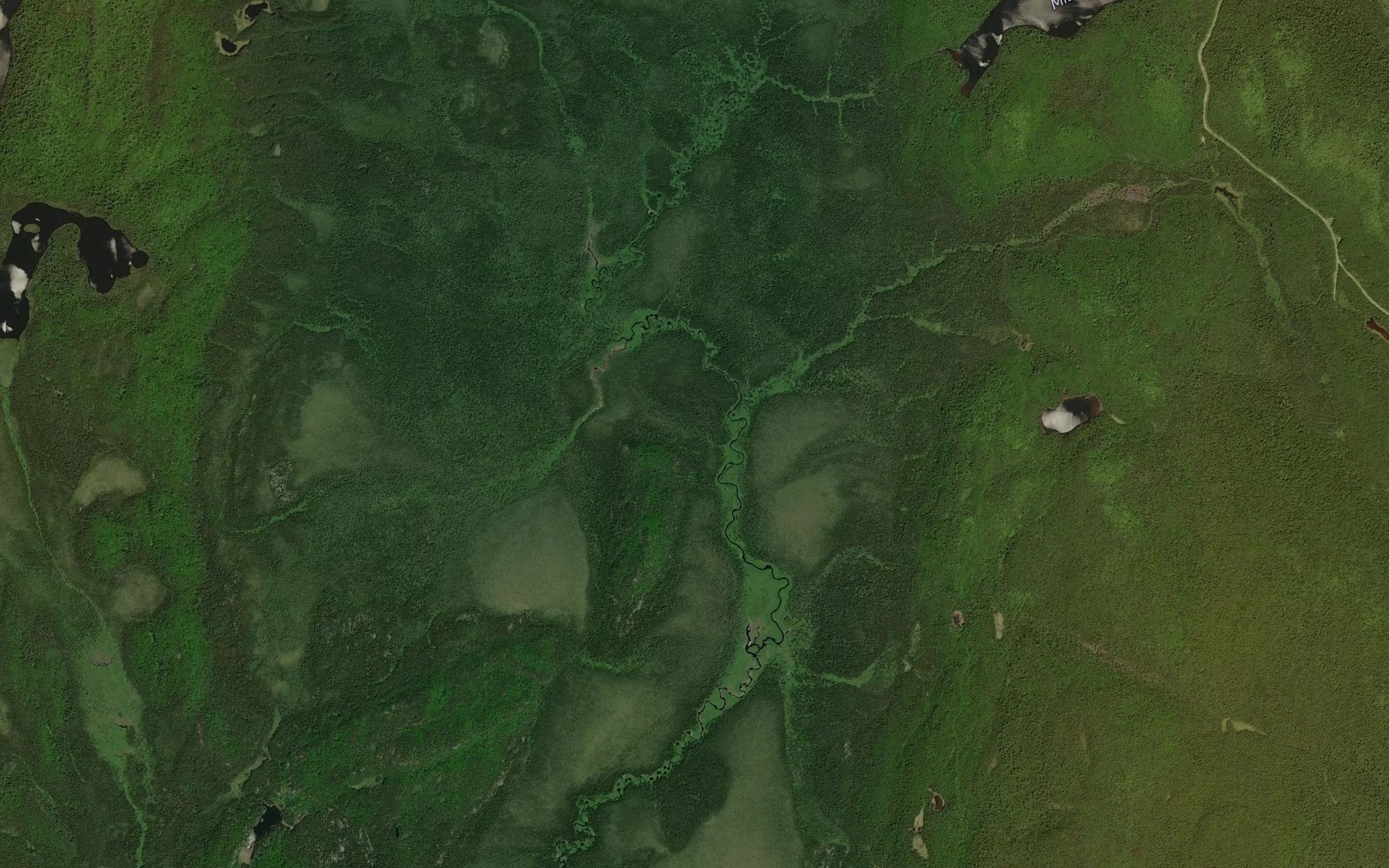 Satellite map of the Brace Creek