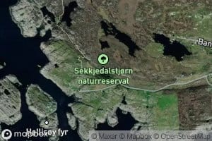 Sekkjedalstjorni