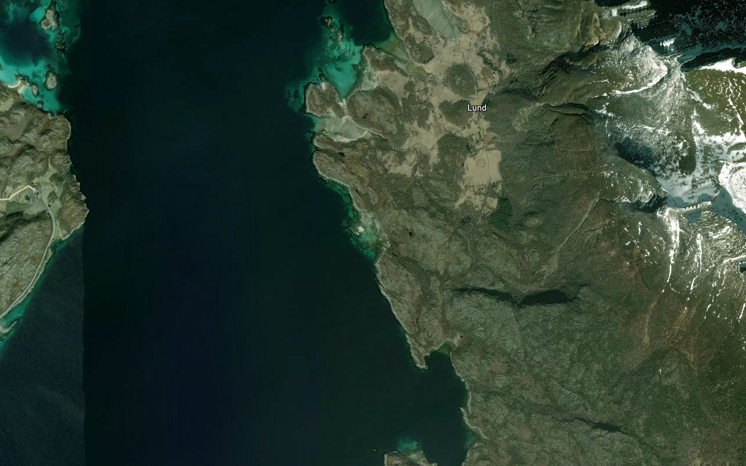 Kavika