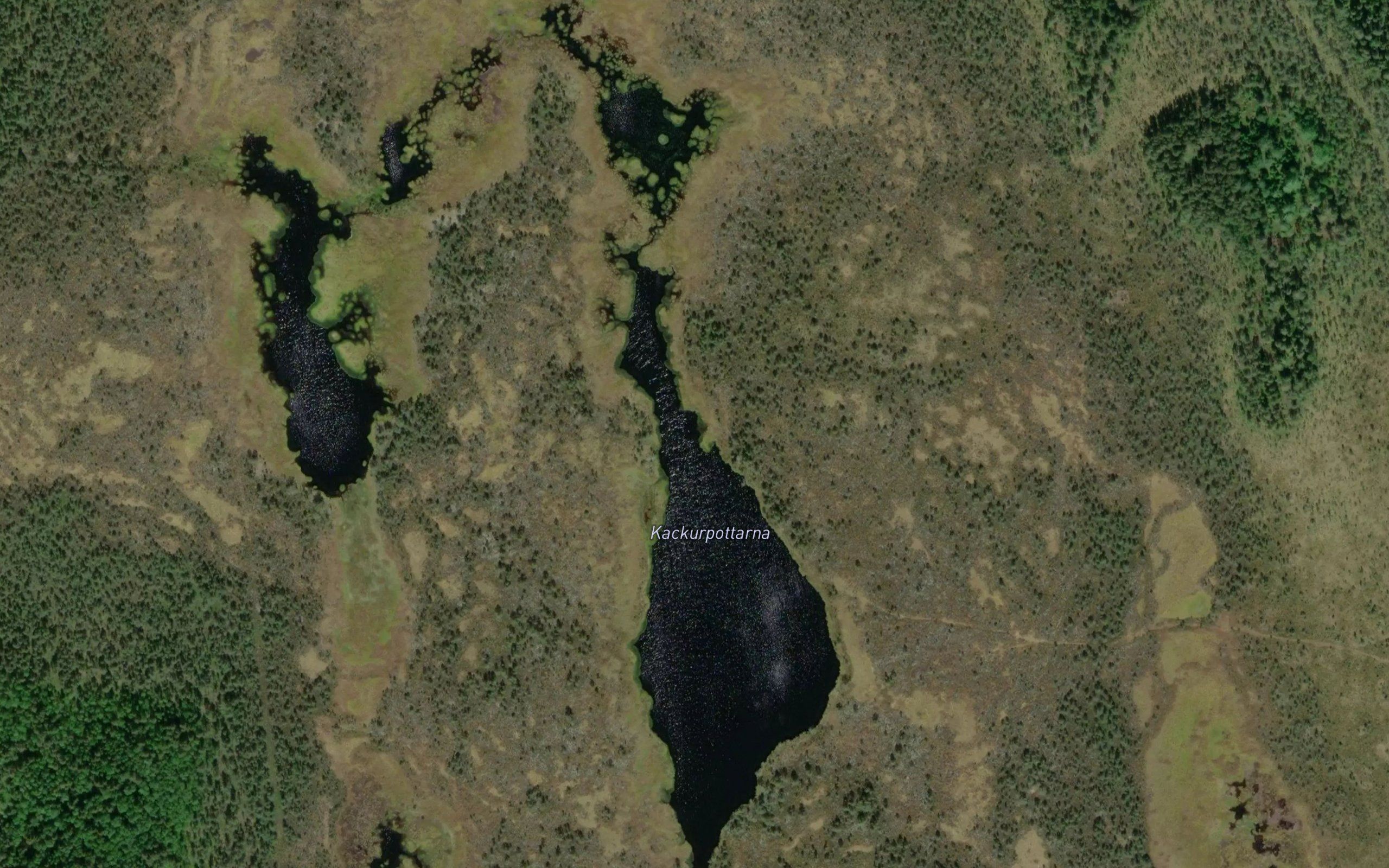 Kackurpottarna