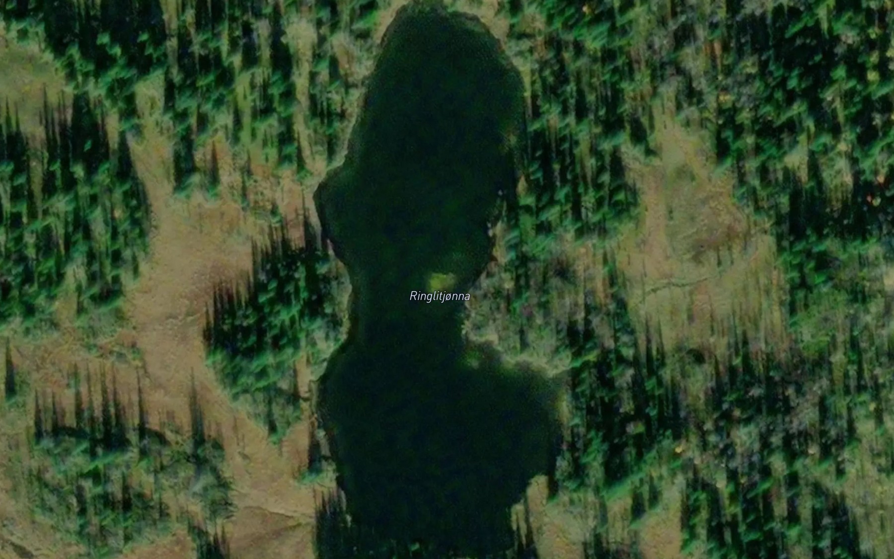 Satellite map of the Ringlitjorna