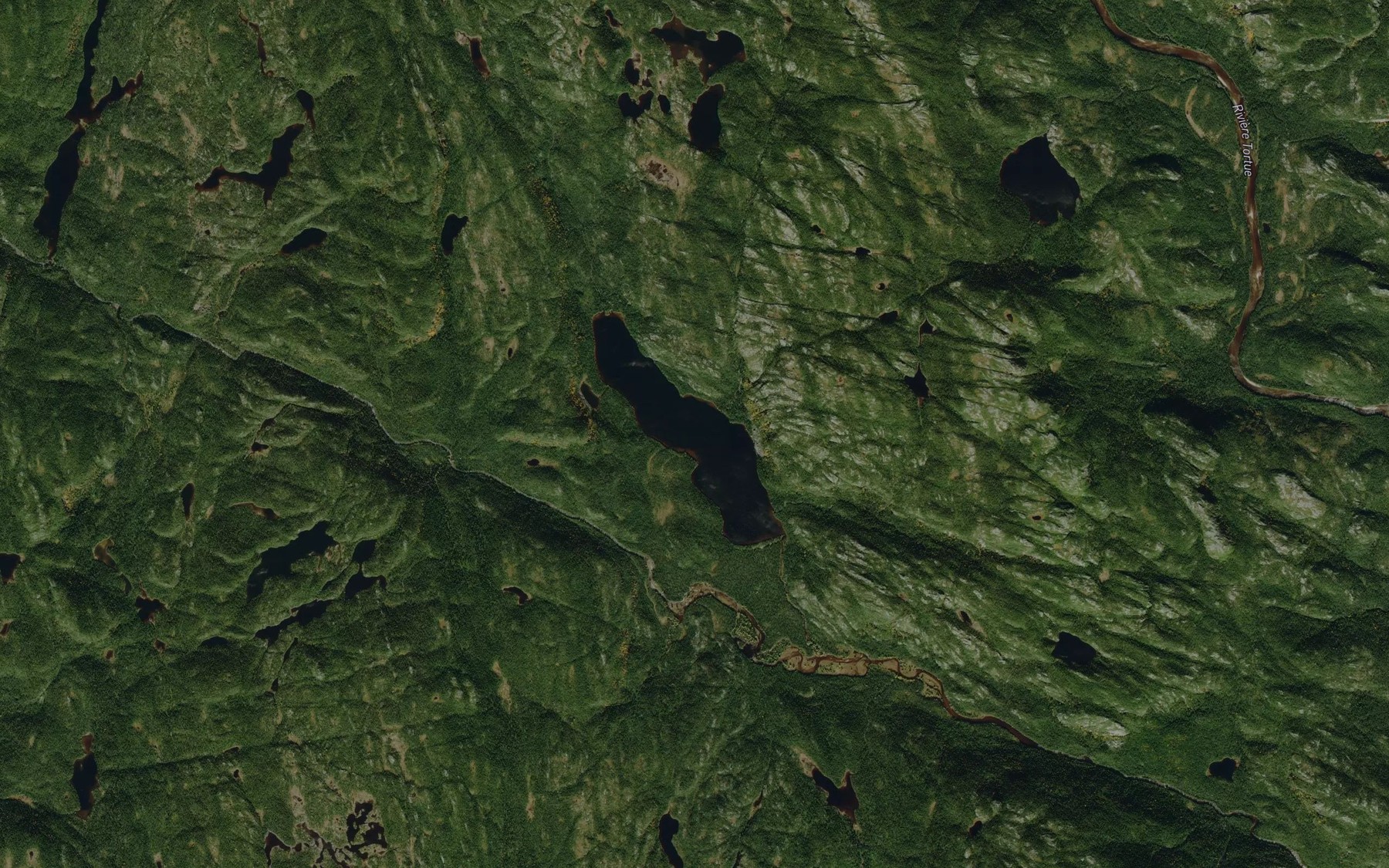 Satellite map of the Lac du Coin