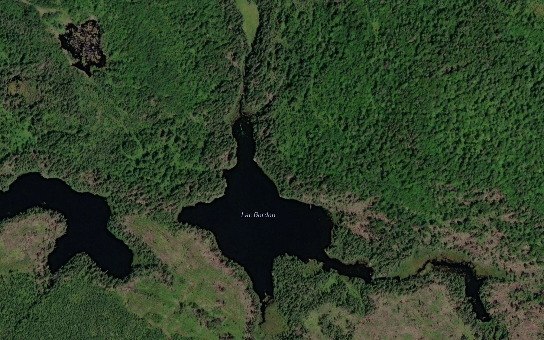 Satellite map of the Lac Gordon