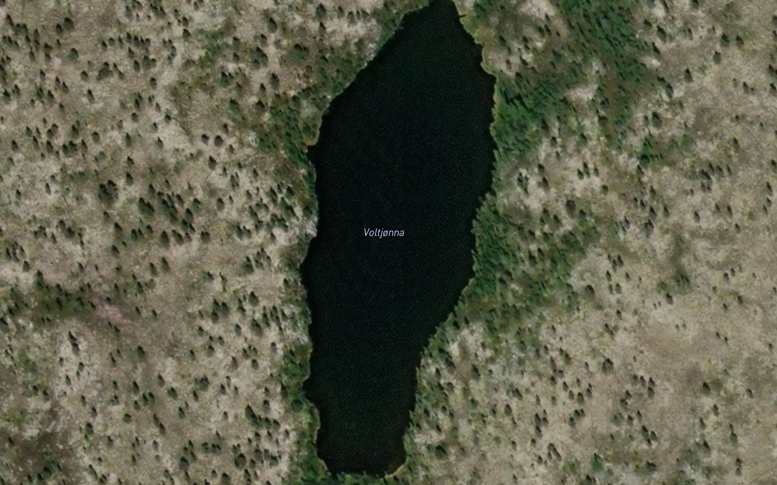 Vordtjorna